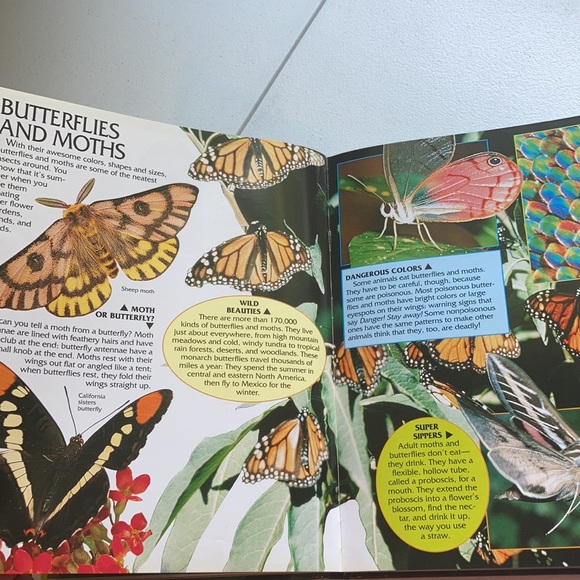 Animal Kingdom Hardback Book - Picture 7 of 16